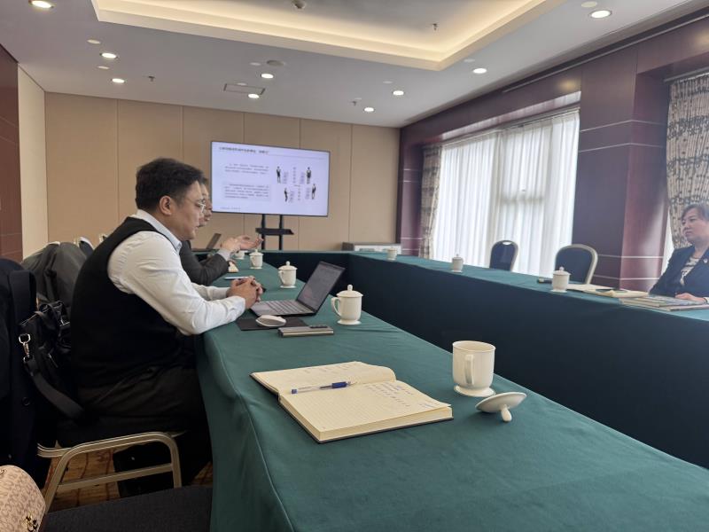 某资本运营公司战略咨询项目