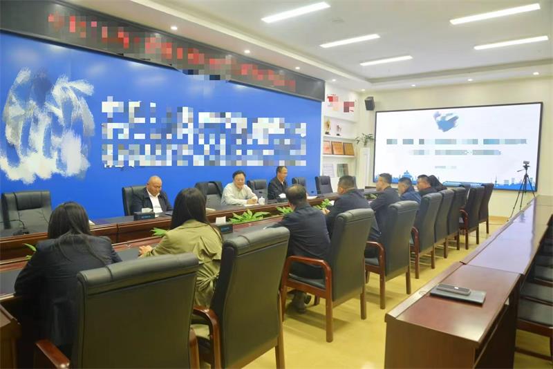 某大型集团企业集团管控体系建设项目