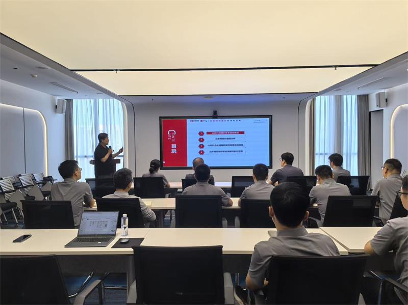 某安防公司战略规划咨询项目