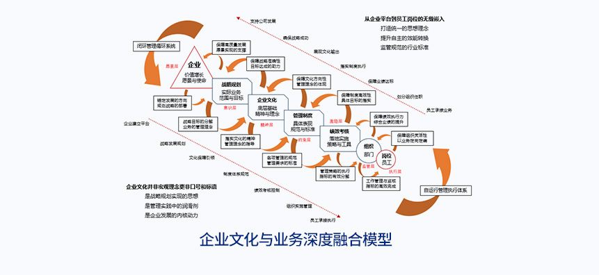 企业文化与业务深度融合模型